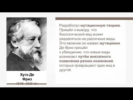 Хуго Де Фриз 1848–1935 гг. Разработал мутационную теорию. Пришёл к