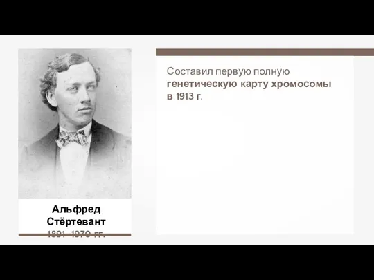 Альфред Стёртевант 1891–1970 гг. Составил первую полную генетическую карту хромосомы в 1913 г.