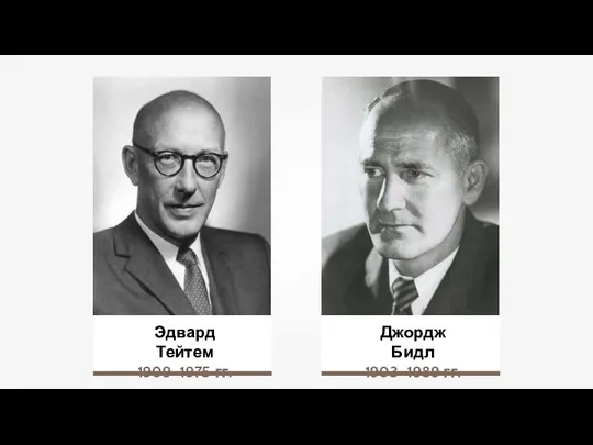 Эдвард Тейтем 1909–1975 гг. Джордж Бидл 1903–1989 гг.