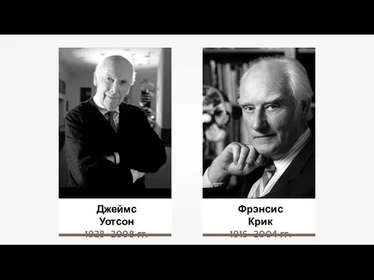 Джеймс Уотсон 1928–2008 гг. Фрэнсис Крик 1916–2004 гг.