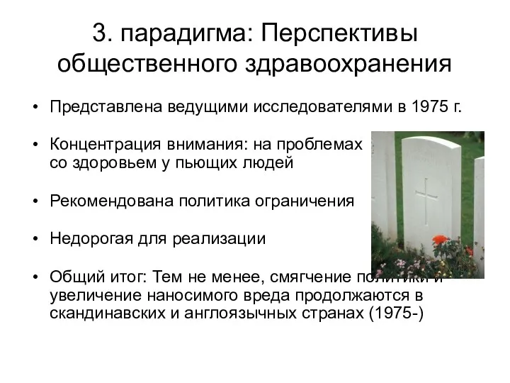 3. парадигма: Перспективы общественного здравоохранения Представлена ведущими исследователями в 1975