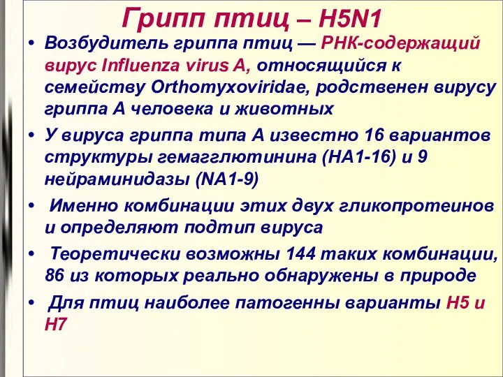 Грипп птиц – H5N1 Возбудитель гриппа птиц — РНК-содержащий вирус