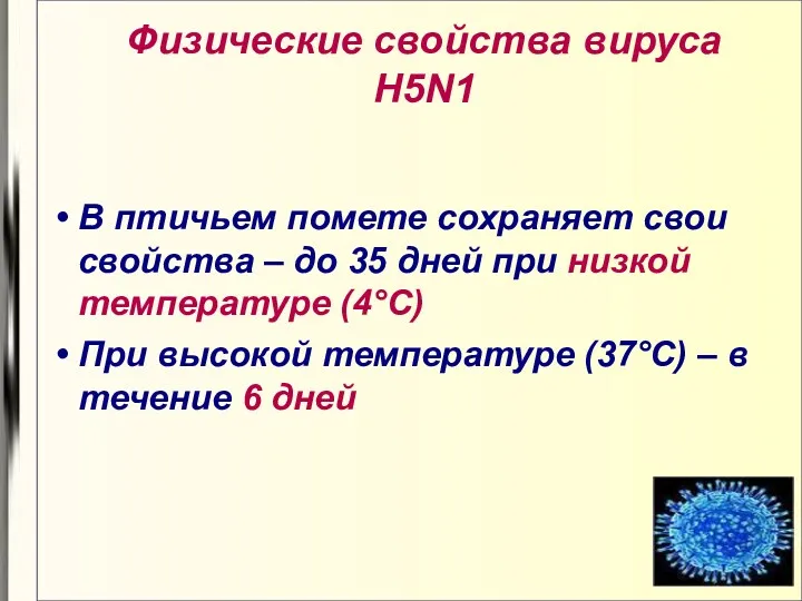 Физические свойства вируса H5N1 В птичьем помете сохраняет свои свойства