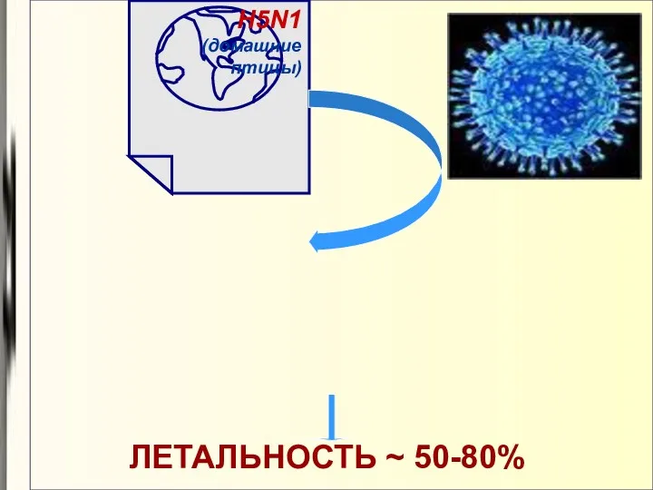 H5N1 (домашние птицы) ЛЕТАЛЬНОСТЬ ~ 50-80%