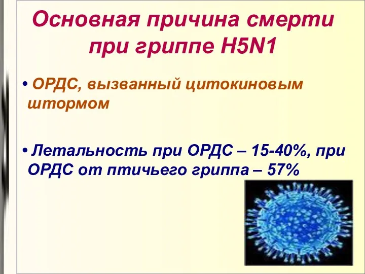 Основная причина смерти при гриппе H5N1 ОРДС, вызванный цитокиновым штормом