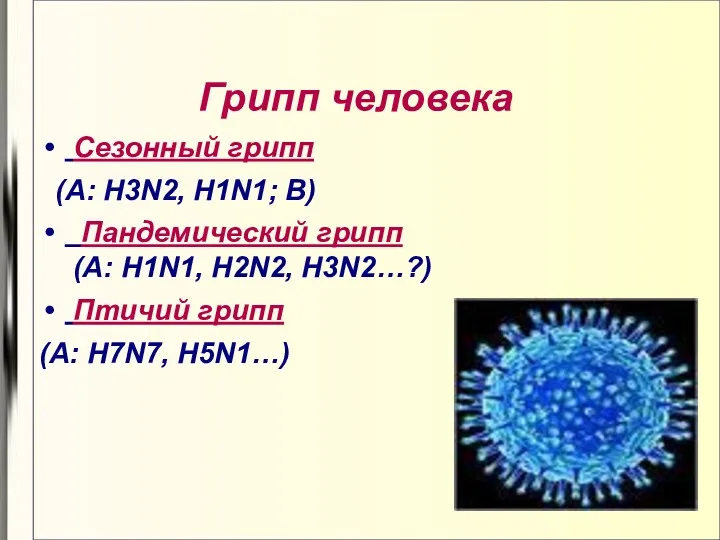 Грипп человека Сезонный грипп (A: H3N2, H1N1; B) Пандемический грипп