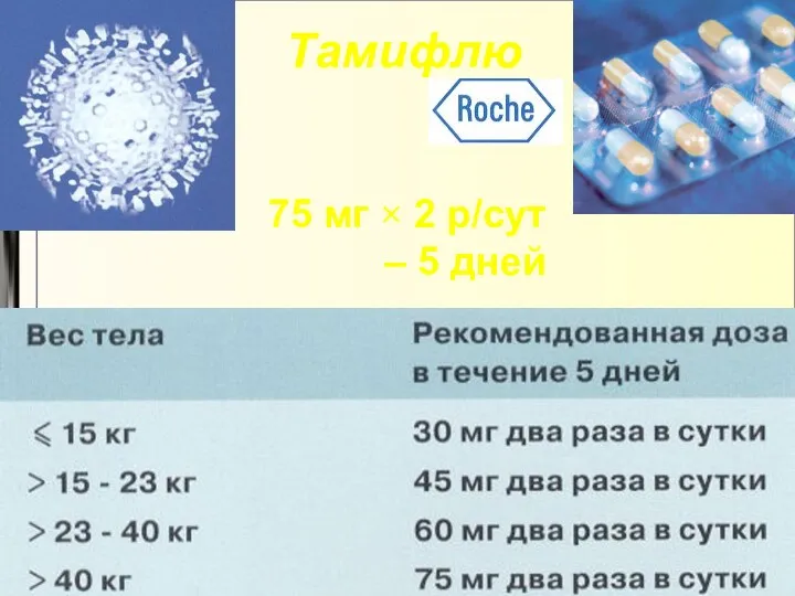 Тамифлю 75 мг × 2 р/сут – 5 дней
