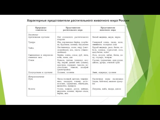 Характерные представители растительного животного мира России