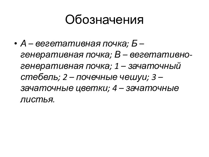 Обозначения А – вегетативная почка; Б – генеративная почка; В