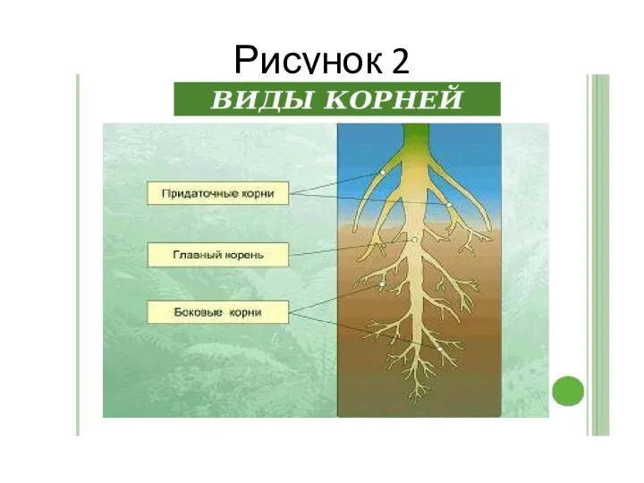 Рисунок 2