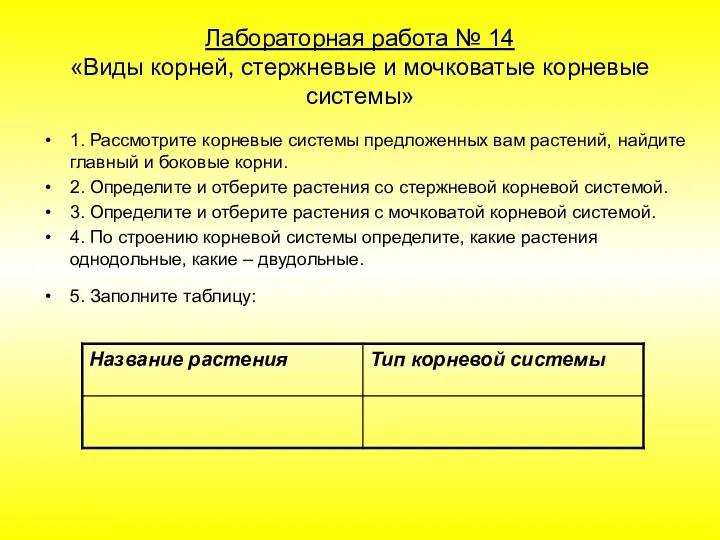 Лабораторная работа № 14 «Виды корней, стержневые и мочковатые корневые