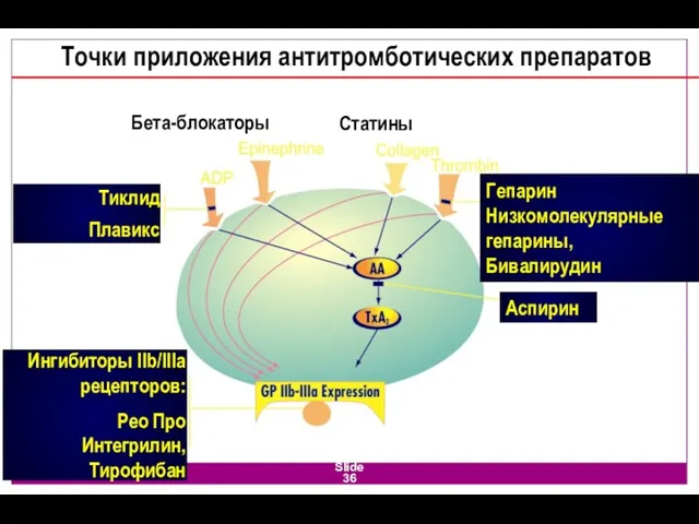 Slide Тиклид Плавикс Гепарин Низкомолекулярные гепарины, Бивалирудин Аспирин Ингибиторы IIb/IIIa рецепторов: Рео Про