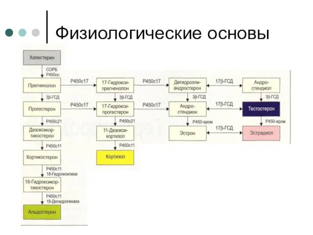 Физиологические основы