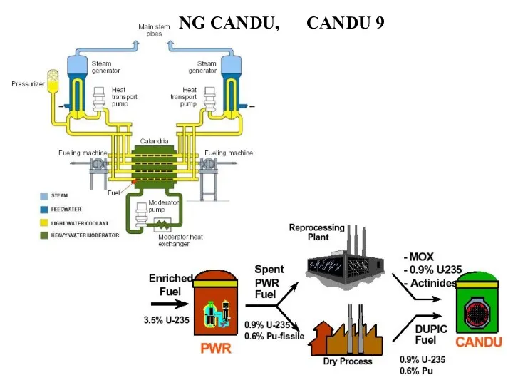 NG CANDU, CANDU 9