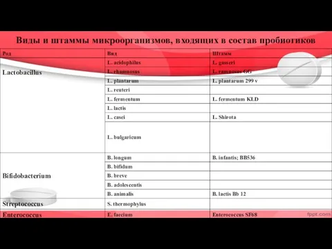 Виды и штаммы микроорганизмов, входящих в состав пробиотиков