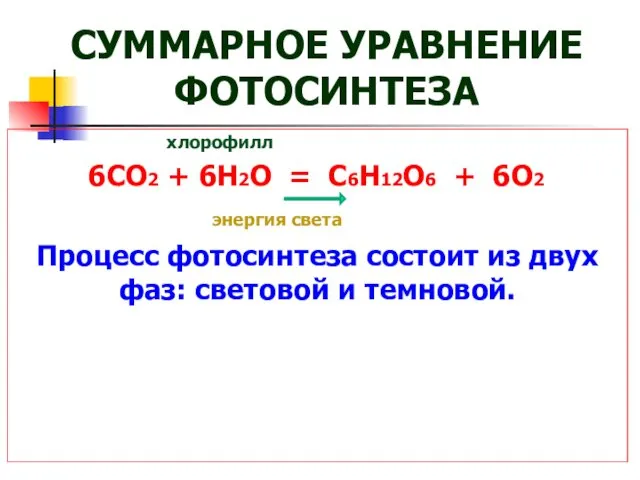 СУММАРНОЕ УРАВНЕНИЕ ФОТОСИНТЕЗА хлорофилл 6СО2 + 6Н2О = С6Н12О6 +