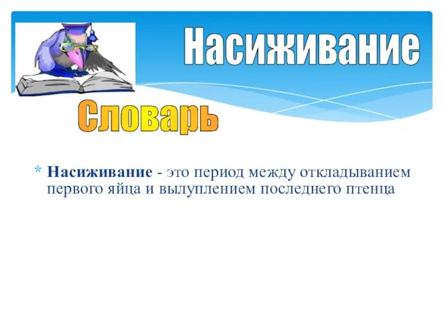 Насиживание - это период между откладыванием первого яйца и вылуплением последнего птенца Насиживание Словарь