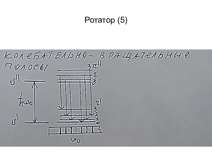 Ротатор (5)