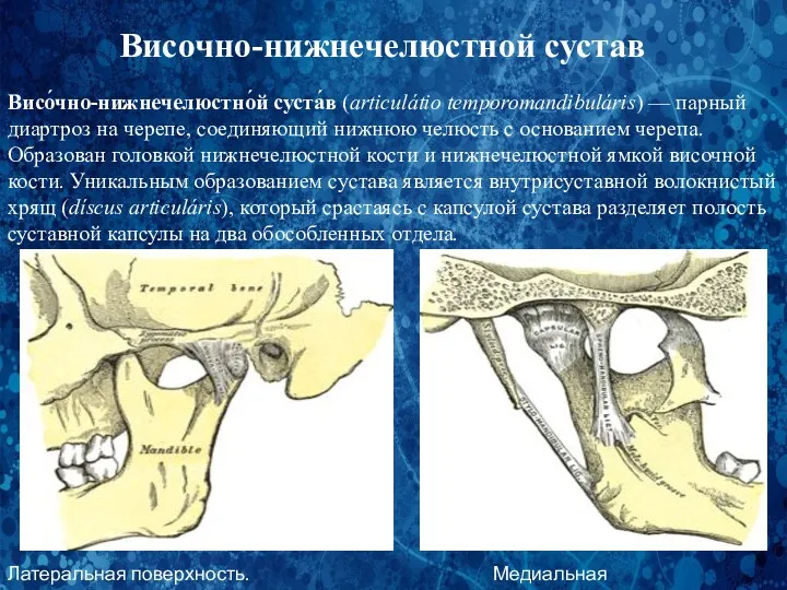 Височно-нижнечелюстной сустав Висо́чно-нижнечелюстно́й суста́в (articulátio temporomandibuláris) — парный диартроз на