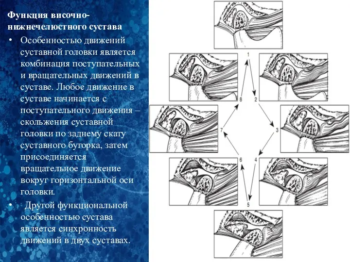 Функция височно-нижнечелюстного сустава Особенностью движений суставной головки является комбинация поступательных