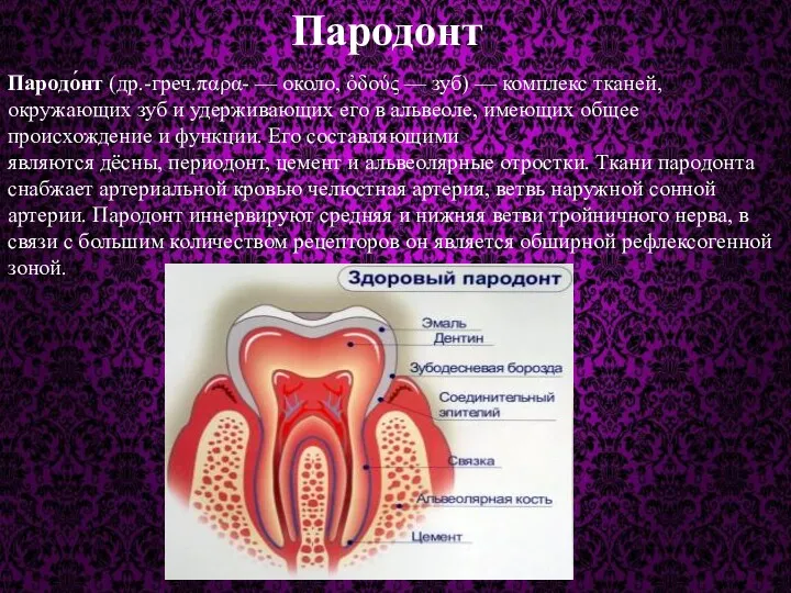 Пародонт Пародо́нт (др.-греч.παρα- — около, ὀδούς — зуб) — комплекс