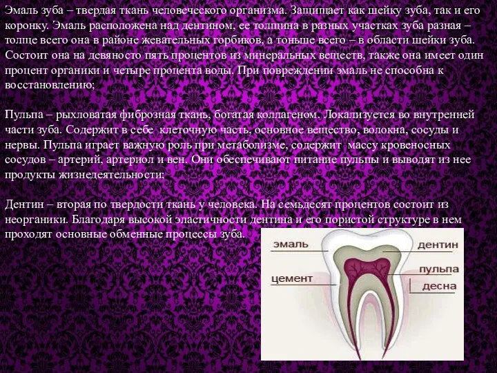 Эмаль зуба – твердая ткань человеческого организма. Защищает как шейку
