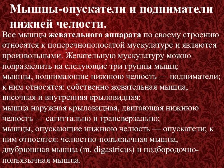 Мышцы-опускатели и подниматели нижней челюсти. Все мышцы жевательного аппарата по