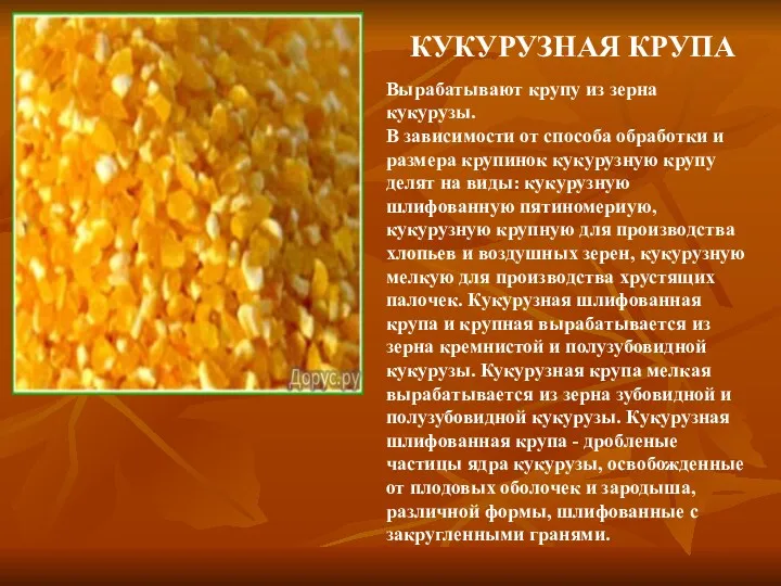 КУКУРУЗНАЯ КРУПА Вырабатывают крупу из зерна кукурузы. В зависимости от