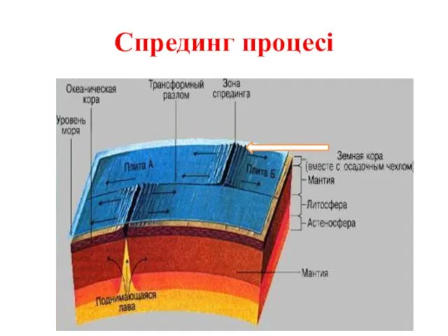 Спрединг процесі