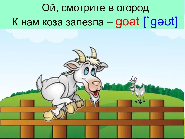 Ой, смотрите в огород К нам коза залезла – goat [`gəʊt]