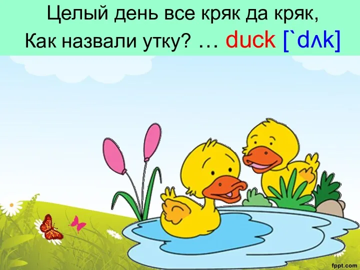 Целый день все кряк да кряк, Как назвали утку? … duck [`dʌk]