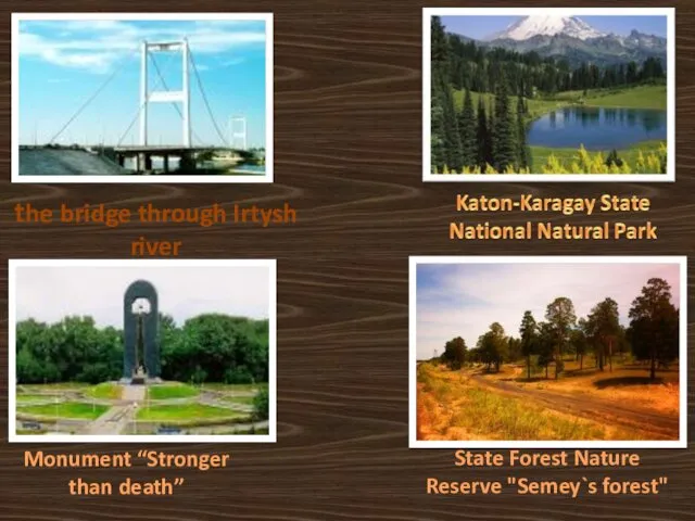 the bridge through Irtysh river Monument “Stronger than death” State Forest Nature Reserve "Semey`s forest"