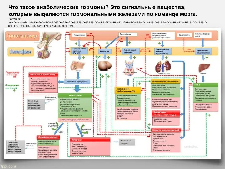 Что такое анаболические гормоны? Это сигнальные вещества, которые выделяются гормональными железами по команде мозга. Источник: http://sportswiki.ru/%D0%90%D0%BD%D0%B0%D0%B1%D0%BE%D0%BB%D0%B8%D1%87%D0%B5%D1%81%D0%BA%D0%B8%D0%B5_%D0%B3%D0%BE%D1%80%D0%BC%D0%BE%D0%BD%D1%8B