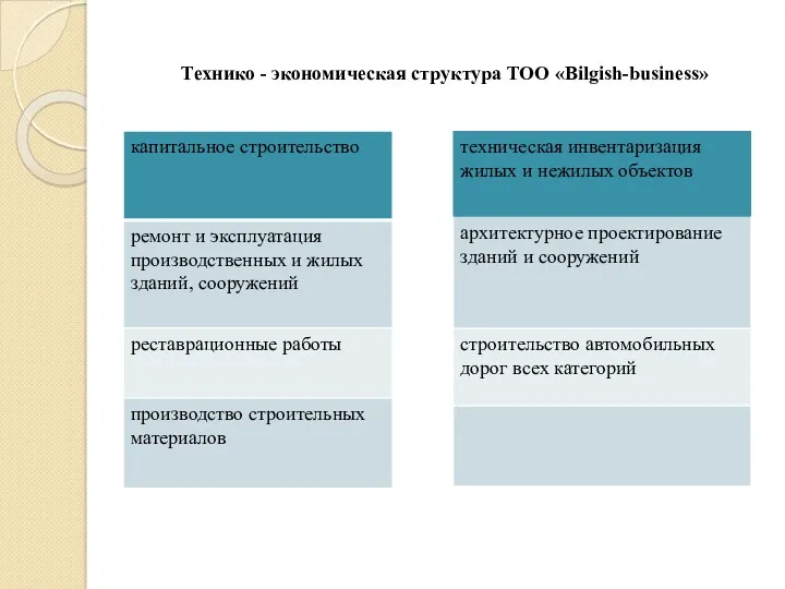 Технико - экономическая структура ТОО «Bilgish-business»