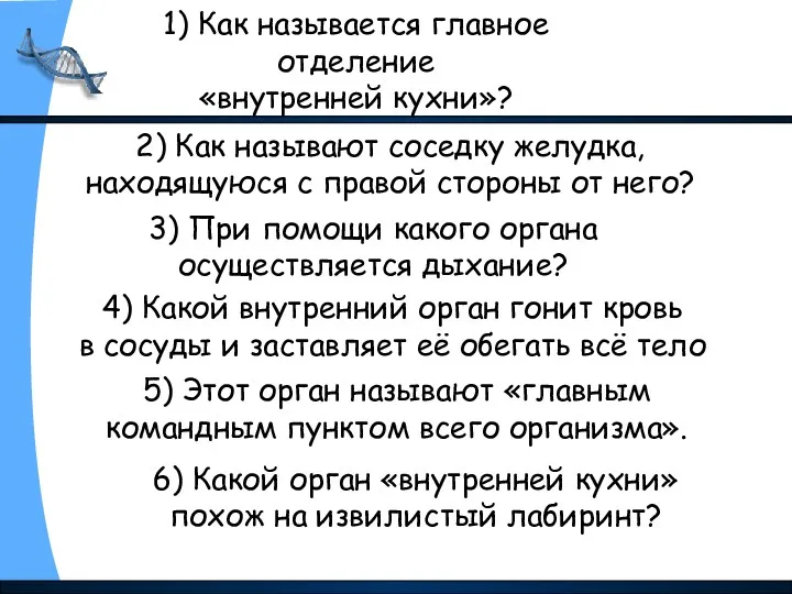 6) Какой орган «внутренней кухни» похож на извилистый лабиринт? 5)