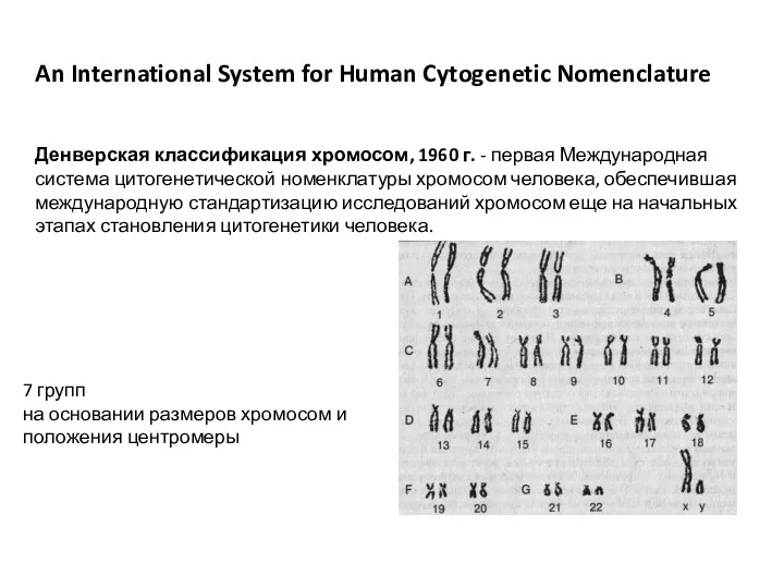 An International System for Human Cytogenetic Nomenclature Денверская классификация хромосом, 1960 г. -