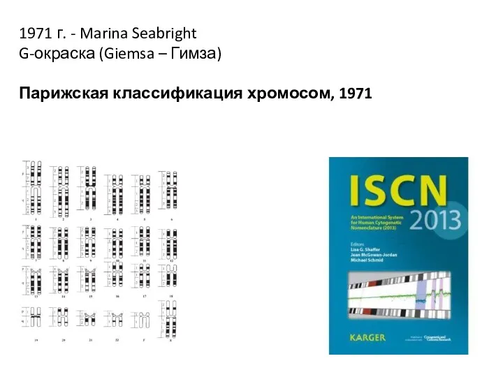1971 г. - Marina Seabright G-окраска (Giemsa – Гимза) Парижская классификация хромосом, 1971