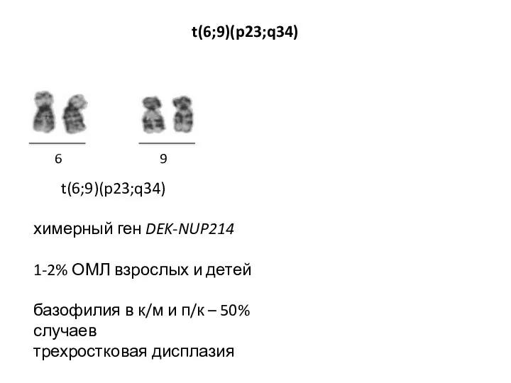 6 9 t(6;9)(p23;q34) химерный ген DEK-NUP214 1-2% ОМЛ взрослых и детей базофилия в