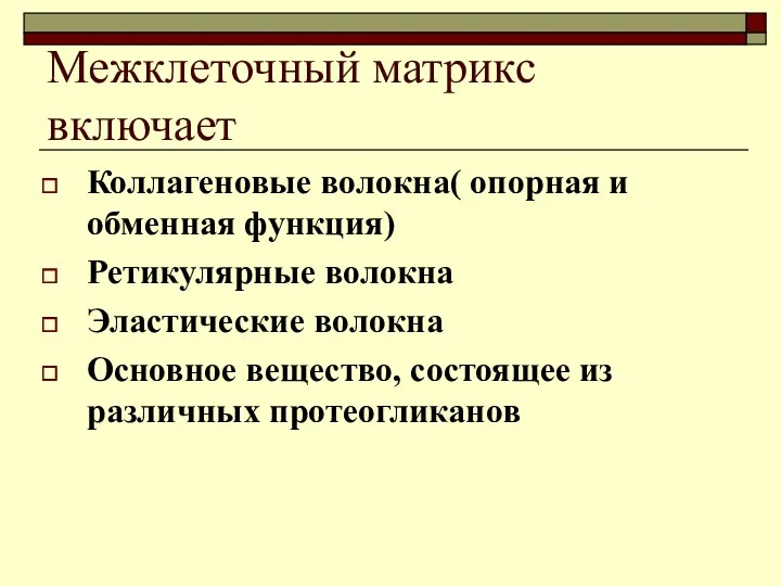 Межклеточный матрикс включает Коллагеновые волокна( опорная и обменная функция) Ретикулярные