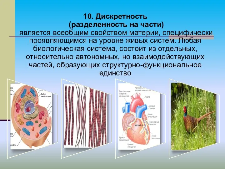 10. Дискретность (разделенность на части) является всеобщим свойством материи, специфически