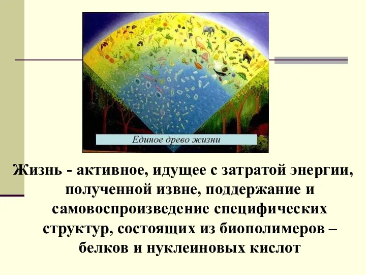 Жизнь - активное, идущее с затратой энергии, полученной извне, поддержание