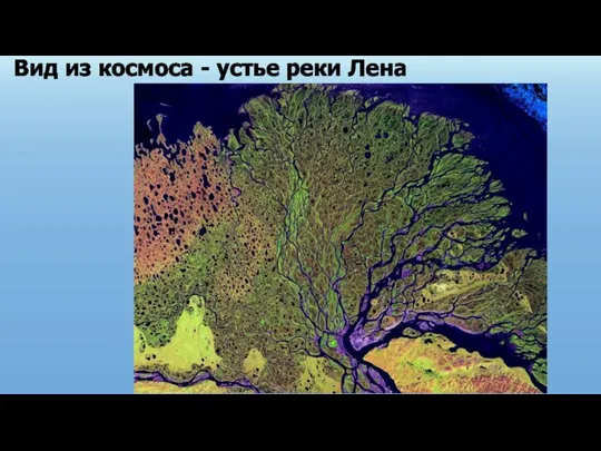 Вид из космоса - устье реки Лена