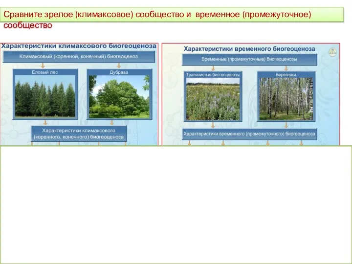 Способны к бесконечно долгому существованию Ковыльные степи, еловые и дубовые