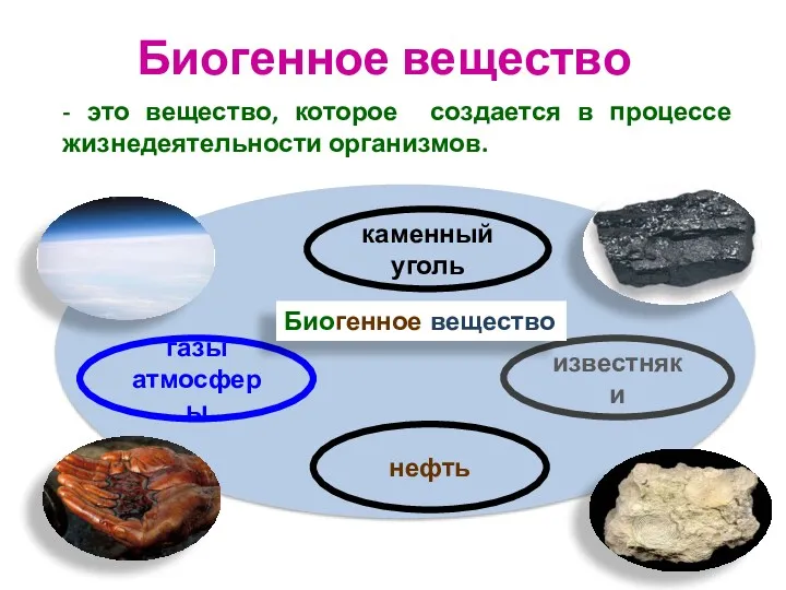 - это вещество, которое создается в процессе жизнедеятельности организмов. газы атмосферы каменный уголь