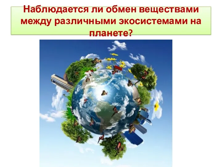 Наблюдается ли обмен веществами между различными экосистемами на планете?