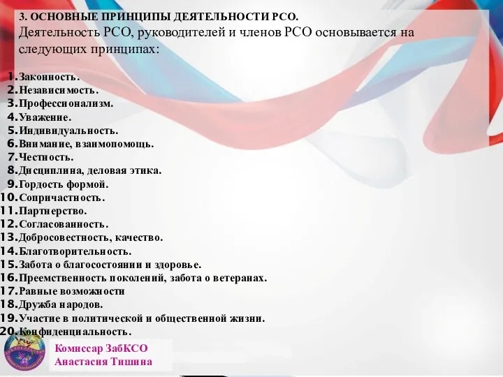 Комиссар ЗабКСО Анастасия Тишина 3. ОСНОВНЫЕ ПРИНЦИПЫ ДЕЯТЕЛЬНОСТИ РСО. Деятельность