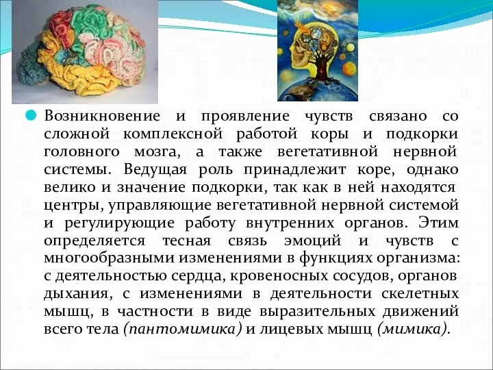 Возникновение и проявление чувств связано со сложной комплексной работой коры