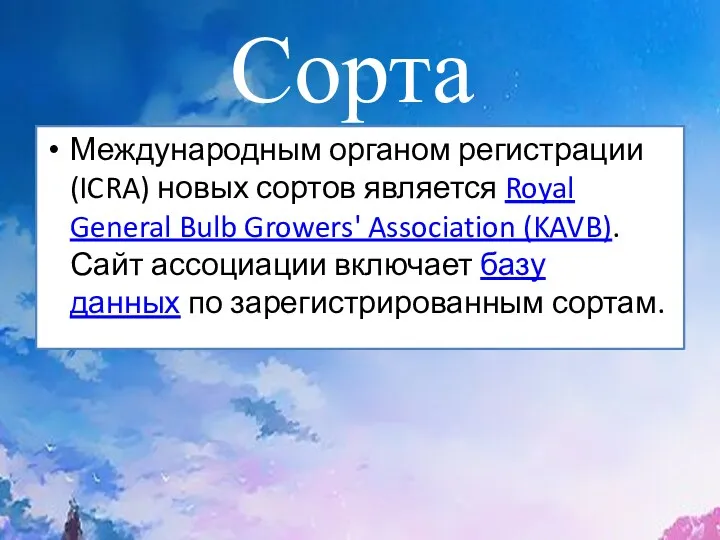 Сорта Международным органом регистрации (ICRA) новых сортов является Royal General