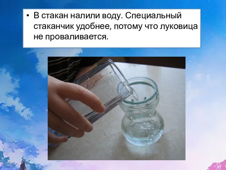 В стакан налили воду. Специальный стаканчик удобнее, потому что луковица не проваливается.