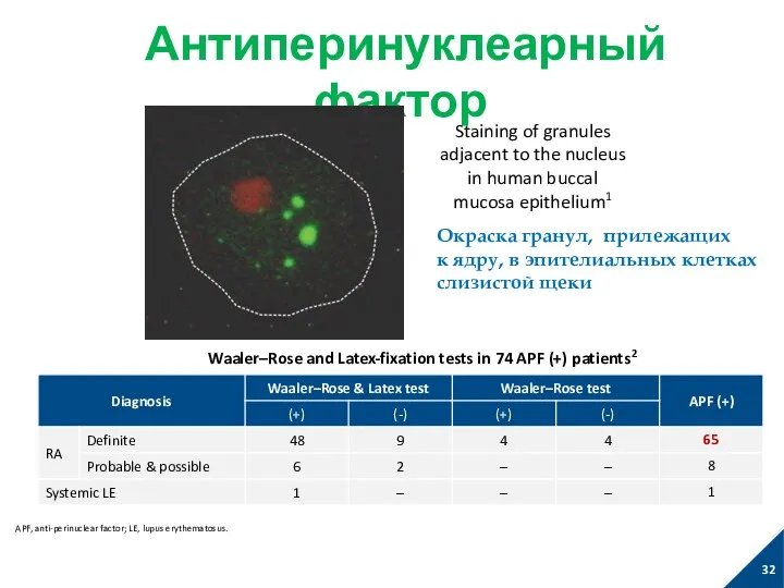 Антиперинуклеарный фактор Nienhuis RLF, et al. Ann Rheum Dis. 1964;23:302–5.;